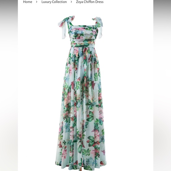 Two Zoya Chiffon dresses from My House of Fashion. One large. One medium. - Picture 2 of 4